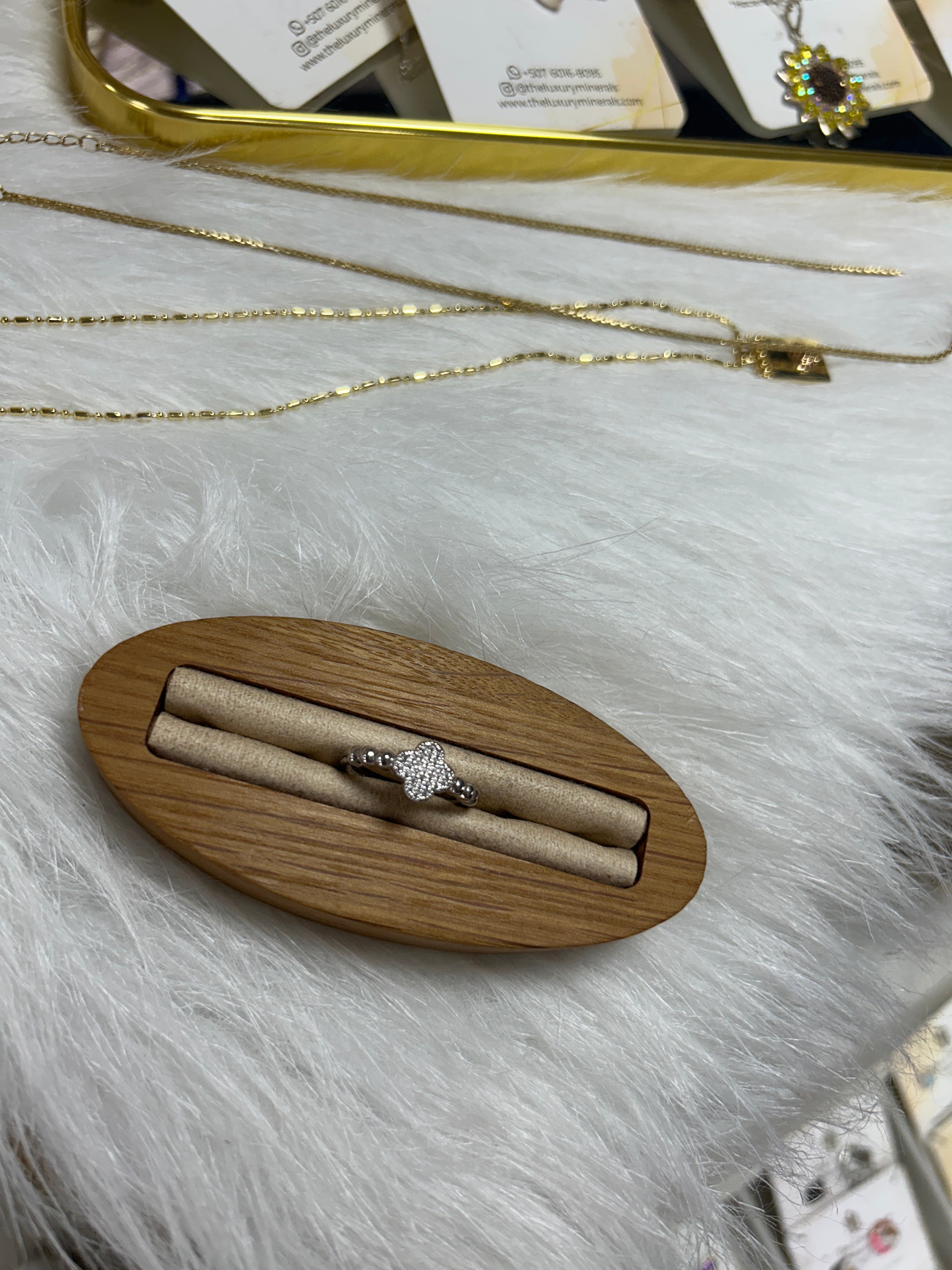 Colección de Anillos