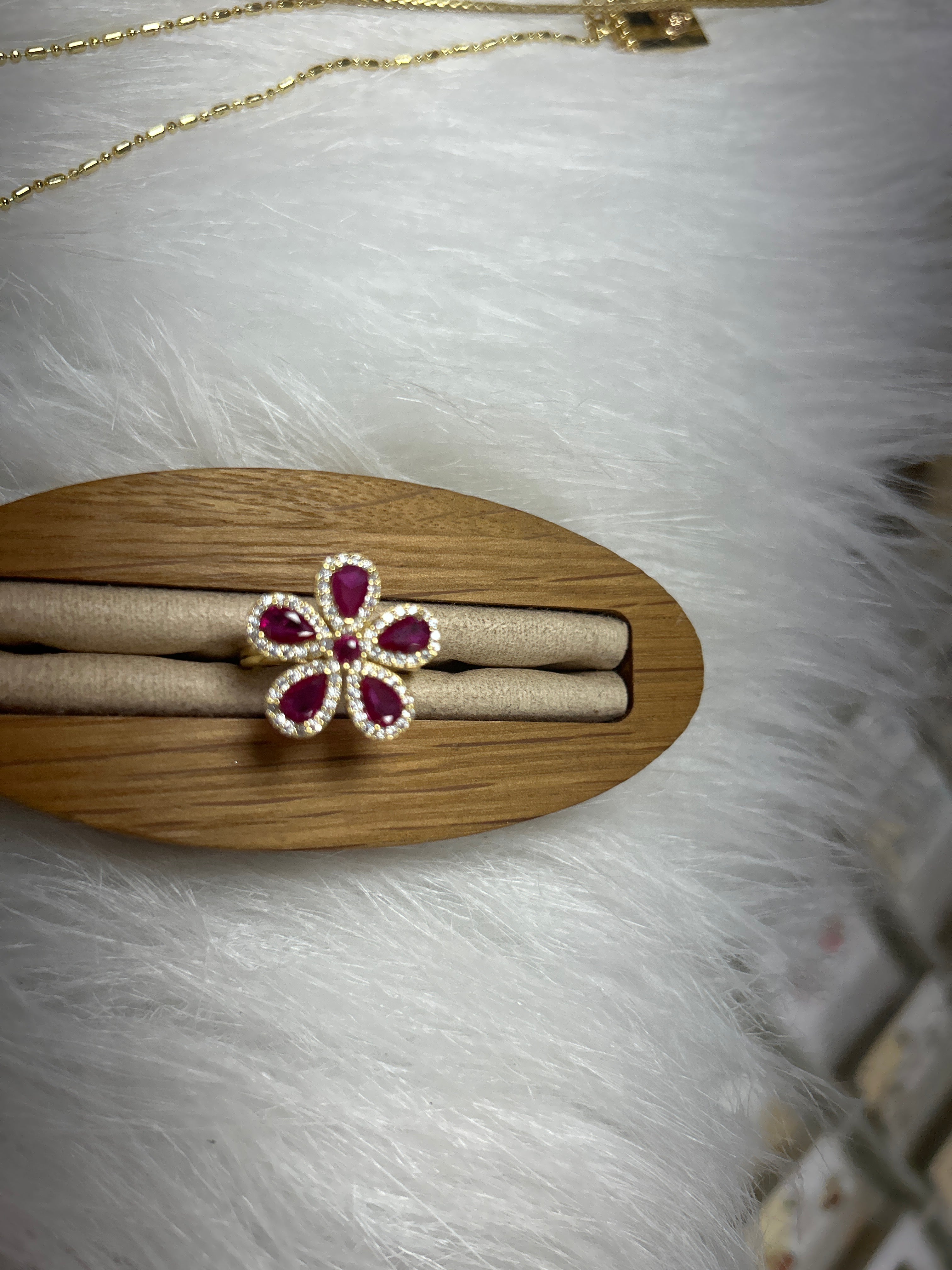 Colección de Anillos