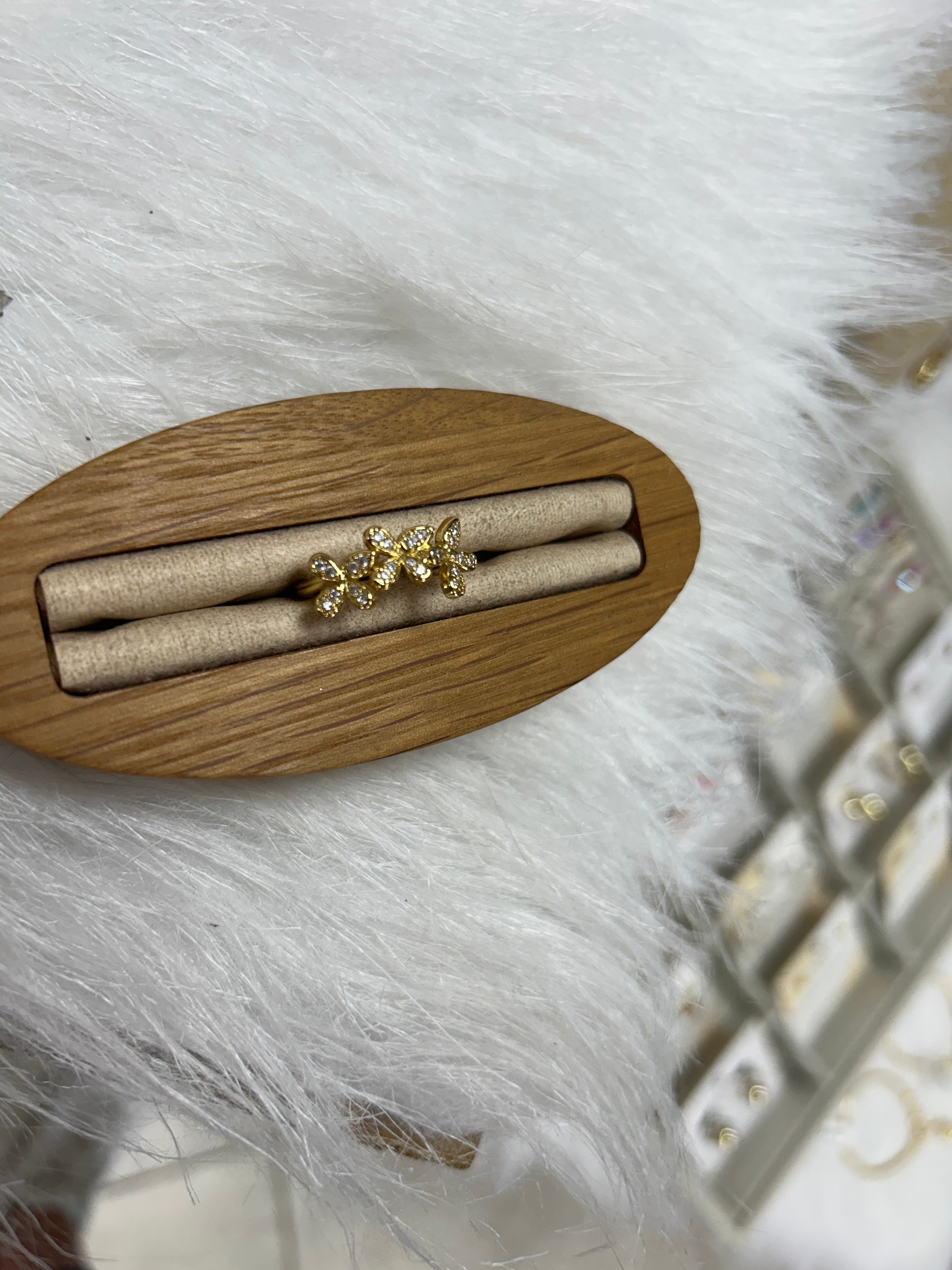 Colección de Anillos