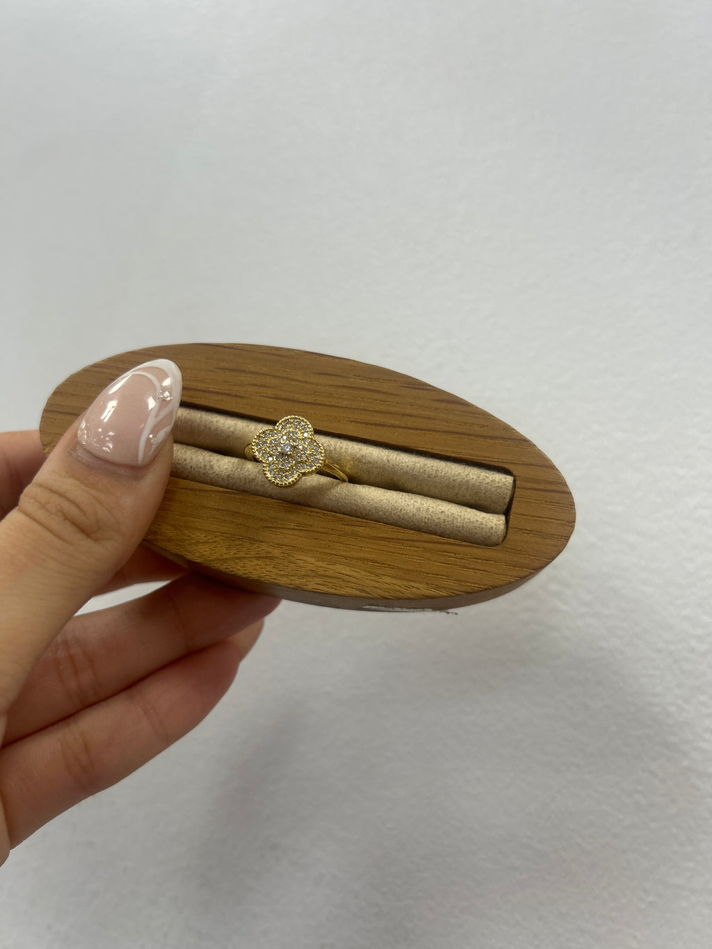 Colección de Anillos