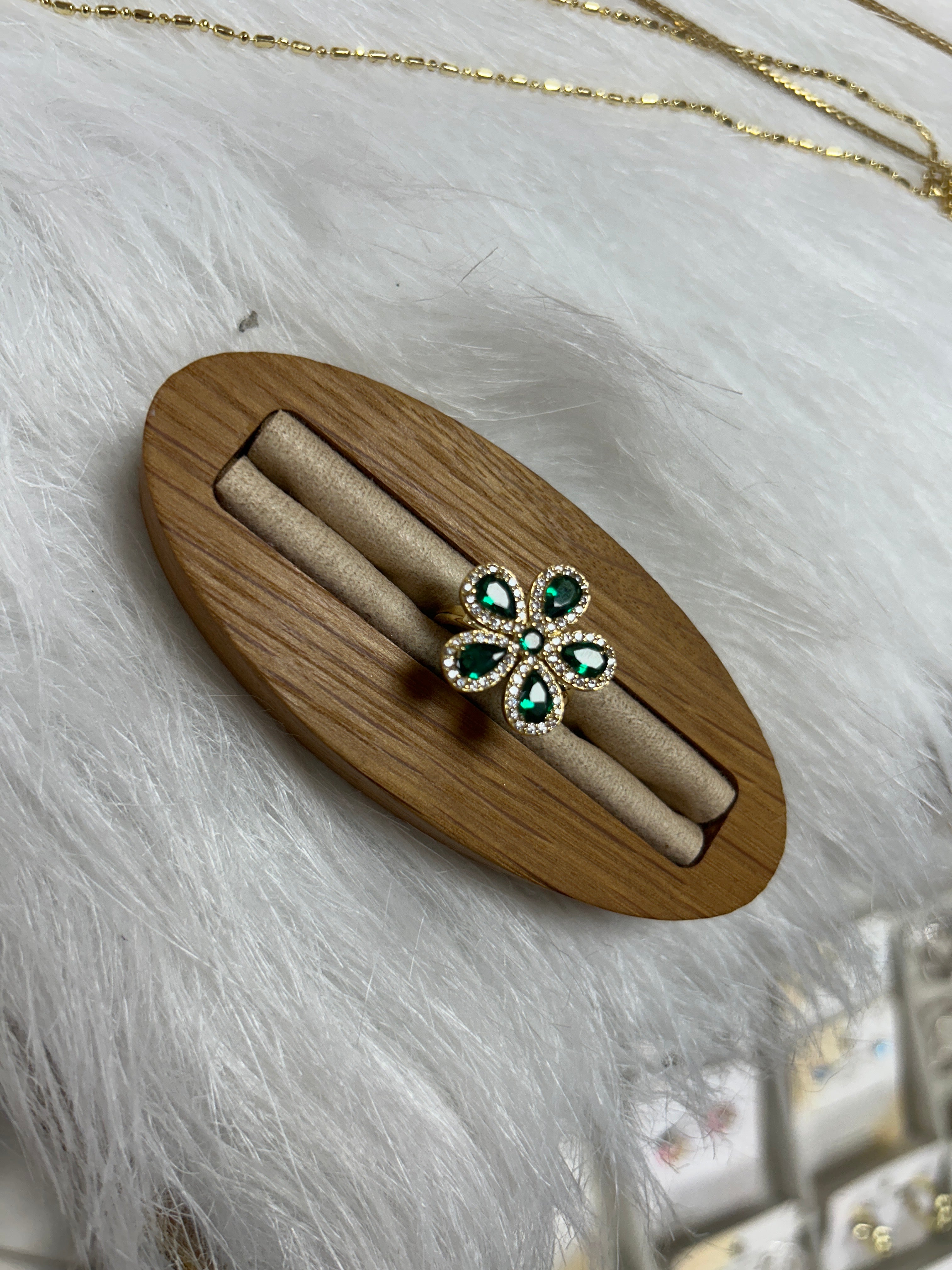 Colección de Anillos