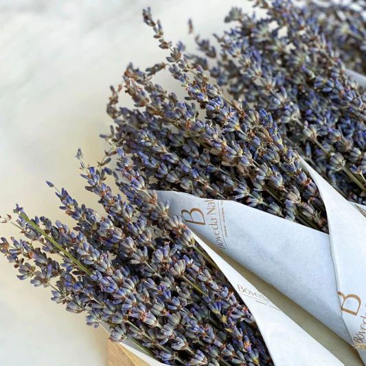 Ramo de Lavanda Natural Seca – Aroma Relajante